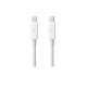 Apple Thunderbolt Cable 2m (MD861)