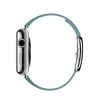 Apple (MMFA2) 38mm Stainless Steel Case with Blue Jay Modern Buckle - Medium Size Band